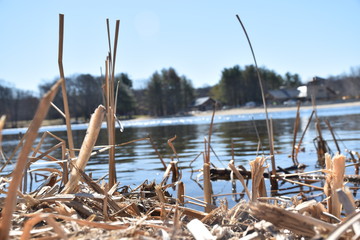 Lincoln woods in Lincoln Rhode Island