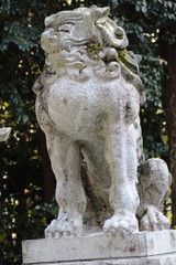 Fototapeta na wymiar 松阪神社の犬の石像