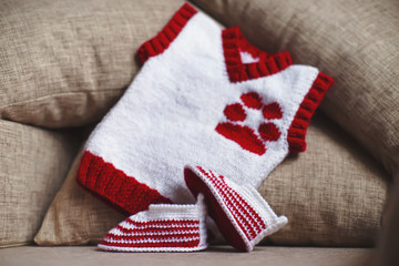 Fototapeta na wymiar Handmade white and red knitted baby's bootees and baby vest with a dog paw embroidery