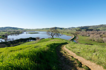Fototapeta na wymiar Panoramic view of the Lagoon Valley Park in Vacaville, California, USA, featuring the chaparral in the winter with green grass, and the lake