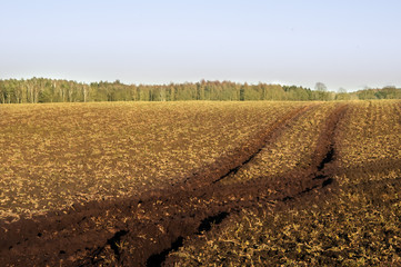 An image of tire tracks tractor