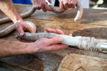 detailed view of filling sausage skin with sausage meat