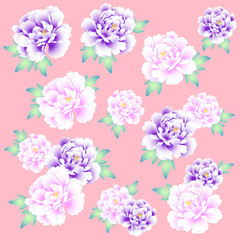 Fototapeta premium 日本的な牡丹素材