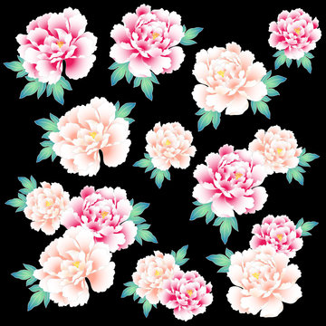 974 Best 和柄 牡丹 Images Stock Photos Vectors Adobe Stock 974 Best 和柄 牡丹 Images Stock Photos Vectors Adobe Stock
