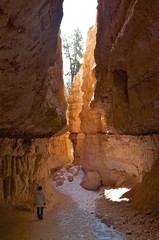 Exploring the pathways of Bryce Canyon National Park in Utah.