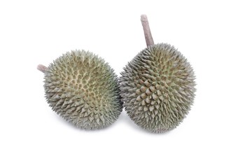 durian with shell, King of fruit on white background.
