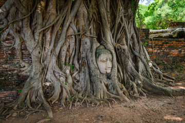 Fototapeta na wymiar Buddha Head Tree Wat Maha That (Ayutthaya)