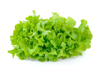 Salad leaf. Lettuce isolated on white background