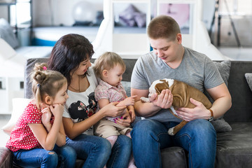 Happy family with puppies of English bulldog on his hands sitting on the couch