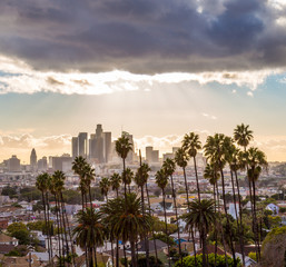 Downtown Los Angeles and Palm Trees with Dark Clouds