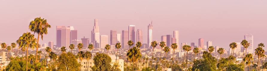 Downtown Los Angeles and Palm Trees at Sunset - obrazy, fototapety, plakaty