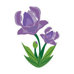 anemone flower spring image vector illustration eps 10