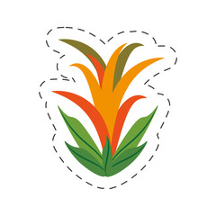 cartoon guzmania flower image vector illustration eps 10