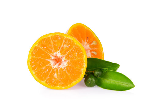 Half of orange fruit and leaf with young orange isolated on white background, Sai Nam Phueng orange of Thailand.