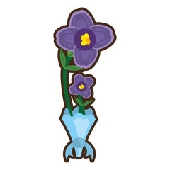 bouquet african violet flower ornament vector illustration eps 10