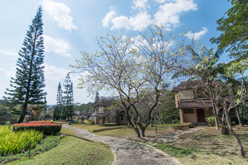 landscape view way with trees ,garden and home in winter on blue sky day