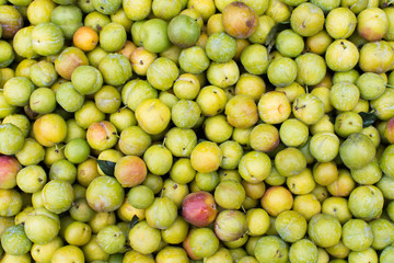 The Bromo volcano eruption, Java, Indonesia