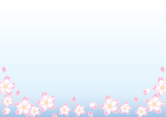 桜の背景イメージ・青空
