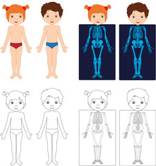 Boy and girl unclothed. Kids bodies by X-ray. Educational coloring book for kids