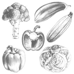 Sketch vintage vegetables set illustration, draft silhouette pencil drawing, isolated on white background. Food graphic graphic monochrome vector design.