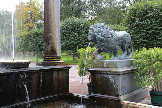 Fountain with lion sculpture, Grand Peterhof Palace, Russia