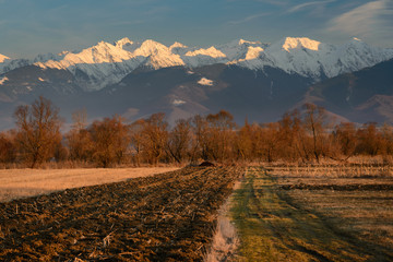 Plowed Field in Sunset Light