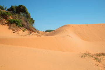 Fototapeta na wymiar On the border of the Red dunes of Mui Ne. South Vietnam