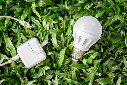 Bulb and electric plug on green grass - Energy saving
