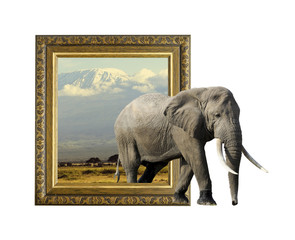 Elephant in frame with 3d effect