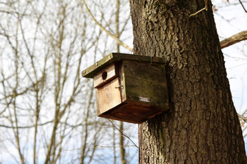 Birdhouse