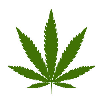 Green silhouette of a marijuana