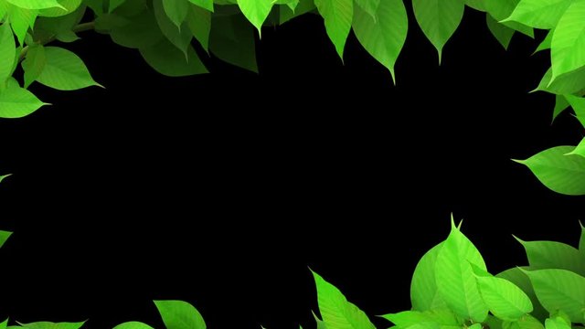 成長する植物の輪_黒