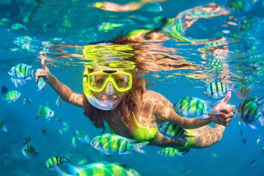 Snorkeling Images – Browse 652,148 Stock Photos, Vectors, and Video | Adobe  Stock
