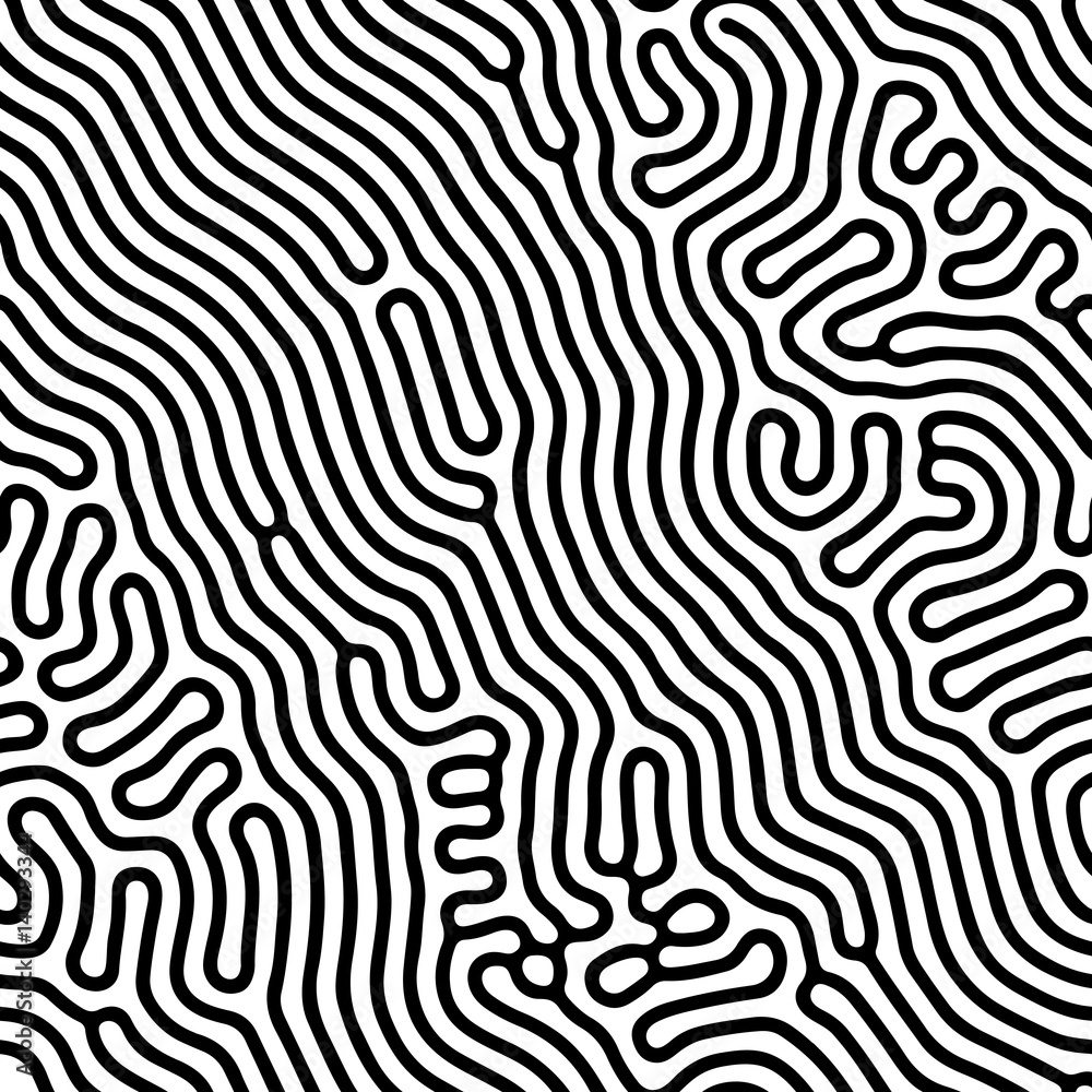 Poster Abstract background of vector organic irregular lines maze pattern