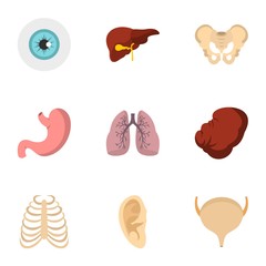 Internal human organs icons set, flat style