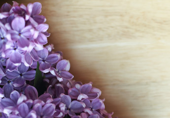 Spring floral background with fresh lilac flowers on a wooden background. border with spring summer blossom. Copy space.