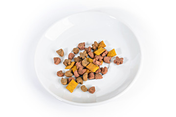 Food for cats and dogs in a dish