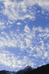 Beautiful blue sky with clouds