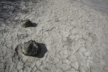 No water in the river with dead tree around the cracked land