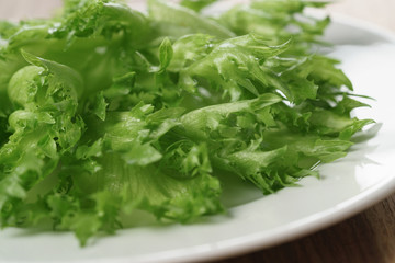 green frillies lettuce on white plate, closeup photo