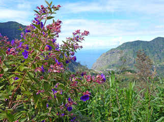 Obraz premium Madeira mountains