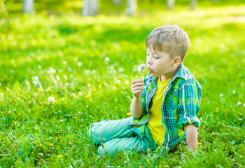Boy blowing dandelion on green grass