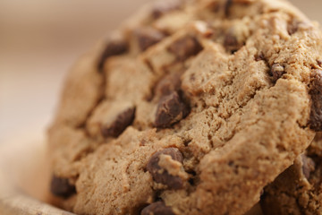 macro shot of classic chocolate chip cookies in bowl, shallow focus