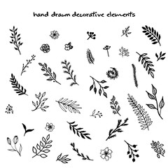 hand drawn vector decorative elements