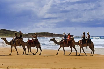 Papier Peint photo Lavable Chameau Sea Beach Camels Ride