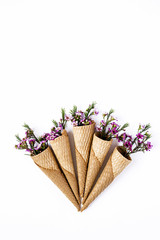 Flowers on white background. Flat lay, top view