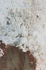 Grunge wall background texture