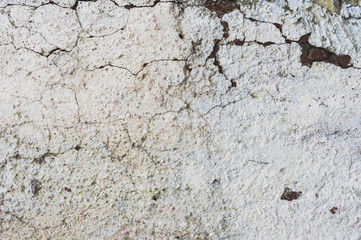 Grunge wall background texture