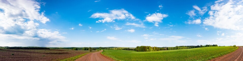 Fototapeta na wymiar summer green field panorama