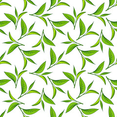 Seamless pattern of green tea leaves